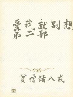 爱我就别想太多第二部