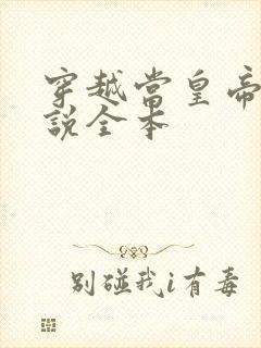 穿越当皇帝的小说全本