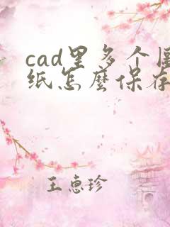 cad里多个图纸怎么保存pdf