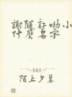 谢随许呦小说叫什么名字