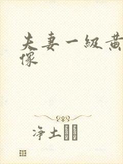 夫妻一级黄色录像