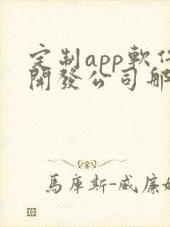 定制app软件开发公司那家好