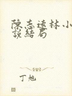 陈志远林小雨小说结局