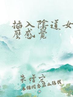 插入阴道女人什么感觉