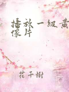 播放一级黄色录像片