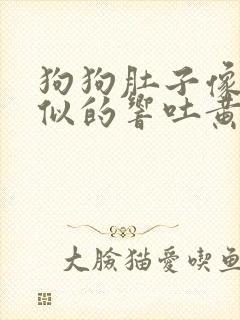 狗狗肚子像拉稀似的响吐黄水