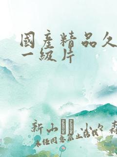 国产精品久久久一级片