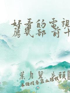 好看的电视剧推荐几部 前十名免费