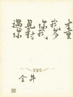 遇见你我才知道你对我多重要是什么歌