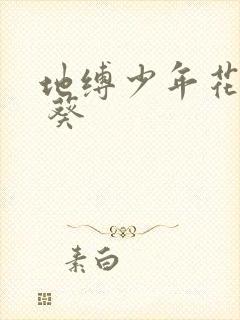 地缚少年花子君 葵