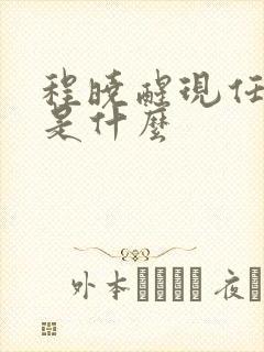 程晓醒现任职务是什么