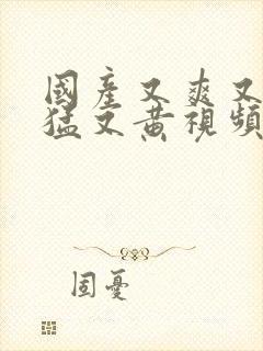 国产又爽又粗又猛又黄视频