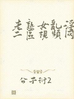 老熟女乱淫一区二区视频网