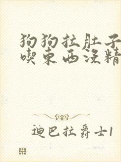 狗狗拉肚子吐不吃东西没精神怎么办