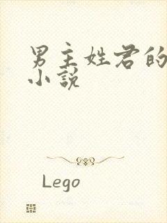 男主姓君的全部小说