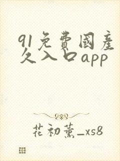 91免费国产永久入口app