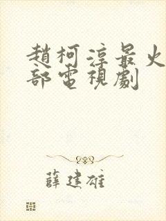 赵柯淳最火的5部电视剧