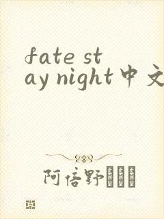 fate stay night中文版