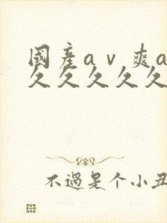 国产aⅴ爽av久久久久久