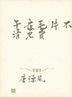 午夜毛片不卡高清免费