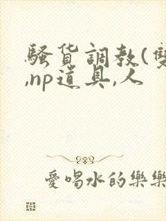 骚货调教(双性,np道具,人