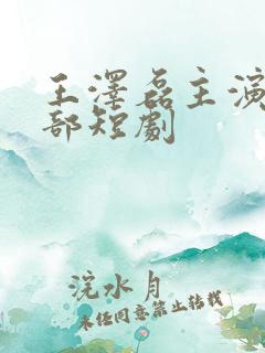 王泽磊主演的全部短剧