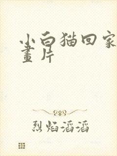 小白猫回家的动画片
