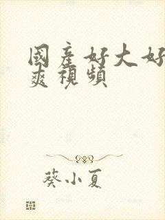 国产好大好硬好爽视频