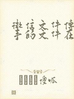 微信文件传输助手的文件在哪