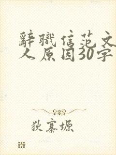 辞职信范文 个人原因30字