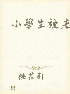 小学生被老师操