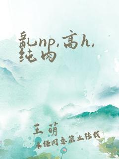 乱np,高h,纯肉