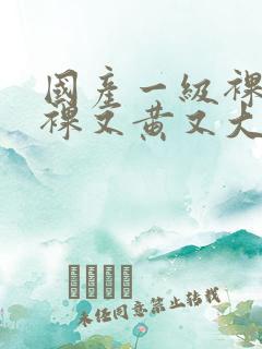 国产一级裸片又裸又黄又大片