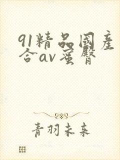 91精品国产综合av蜜臀