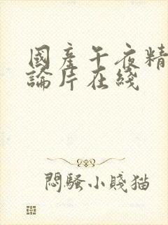 国产午夜精品理论片在线