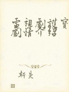 电视剧护宝风云剧情介绍