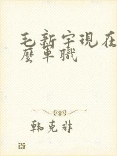 毛新宇现在是什么军职