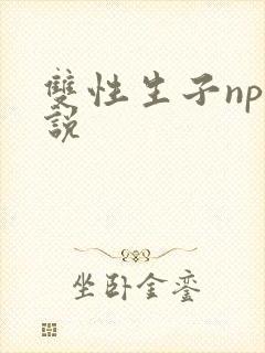 双性生子np小说