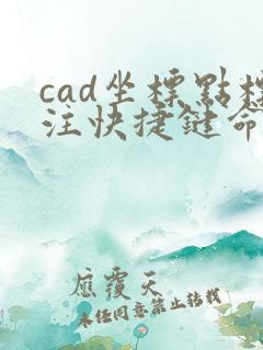 cad坐标点标注快捷键命令