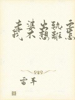 老婆出轨要离婚我不想离怎么办