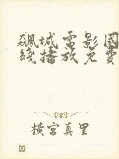 飙城电影国语在线播放免费