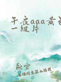 午夜aaa黄色一级片