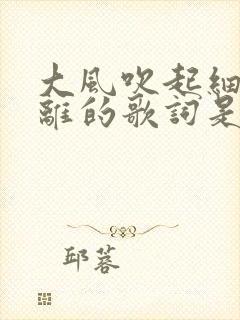 大风吹起细雨迷离的歌词是哪首歌