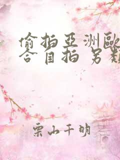 偷拍亚洲欧美综合自拍 另类