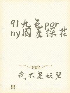 91九色porny国产探花