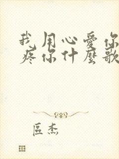 我用心爱你用心疼你什么歌