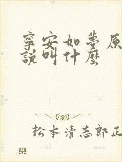 宁安如梦原著小说叫什么