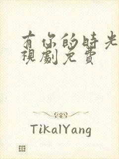 有你的时光里电视剧免费