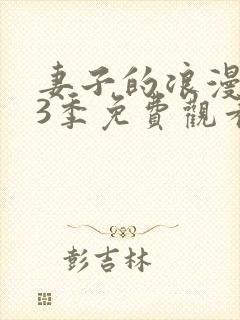 妻子的浪漫旅行3季免费观看全集完整版