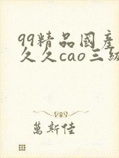 99精品国产热久久cao三级